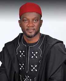 Hon. Ernest Okechukwu Okoye